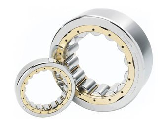 NF型圆柱滚子轴承(RIF, RF)